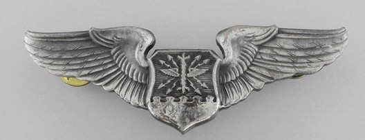 Basic Wings (with silvered metal) Obverse