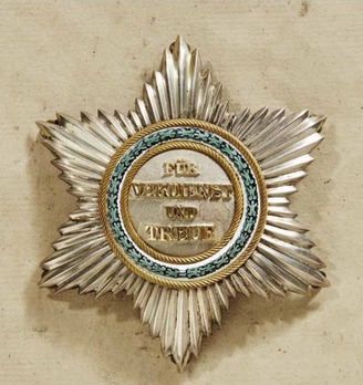 Order of Merit, Type I, Civil Division, Grand Cross Breast Star (for nationals) Obverse