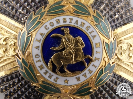 Commander Breast Star (Bronze gilt and silvered) Obverse