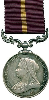 Silver Medal (for Natal, with Queen Victoria effigy) Obverse