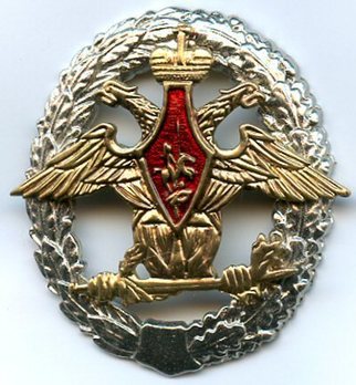 Assistance to the Environmental Protection Office of the Defense Ministry of the Russian Federation Oval Decoration Obverse