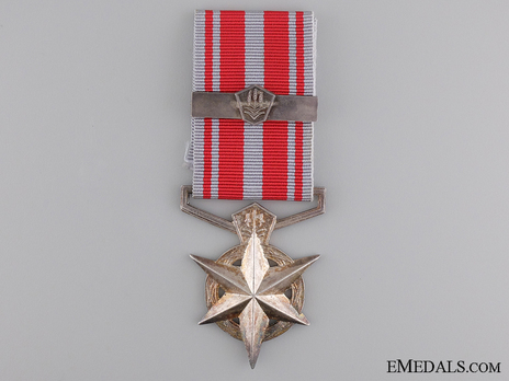 South African Police Medal for Combating Terrorism Obverse