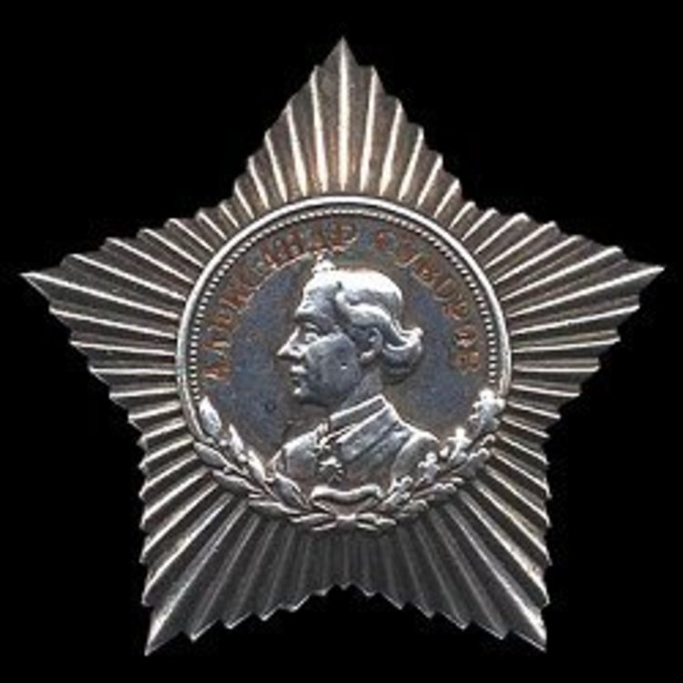 Order of suvorov medal 3rd class