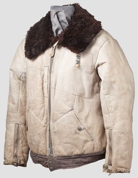 Luftwaffe Winter Leather Flight Jacket Obverse