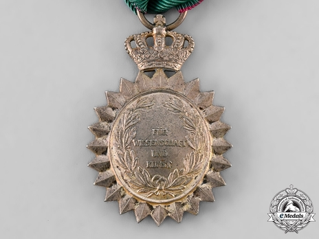 Order of Merit for Arts and Sciences, Type I Reverse