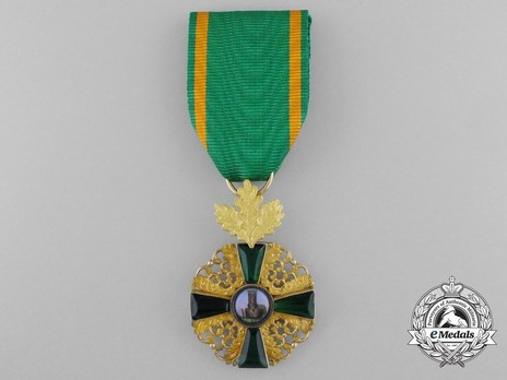 Order of the Zähringer Lion, I Class Knight (with oak leaves, in gold) Obverse with Ribbon