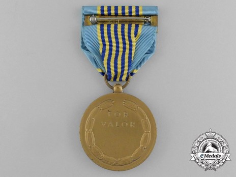 Airman's Medal Reverse