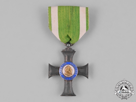 Albert Order, Type II, Civil Division, Albert's Cross (with gold medallion) Obverse