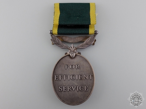 Silver Medal (for Territorial Forces, with King George VI "FID:DEF" effigy) Reverse