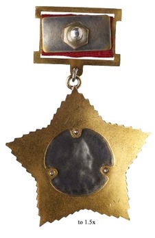 Order of Suvorov, Type I, II Class Medal (#204) Reverse