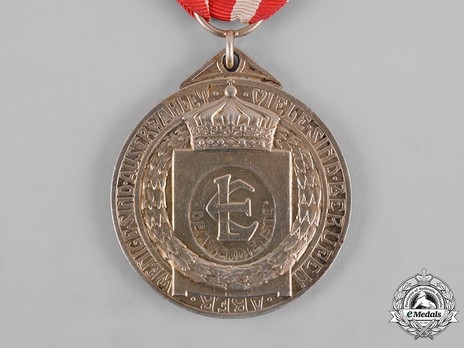 Medal of Merit for Art and Science in Silver Reverse
