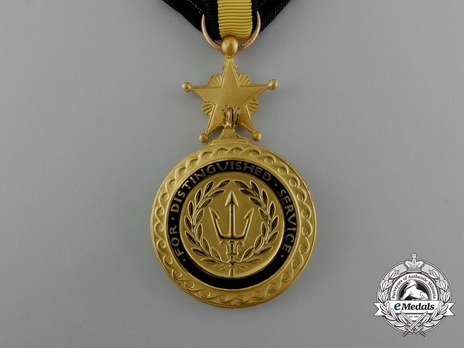 Navy Distinguished Service Medal (1919-) Reverse