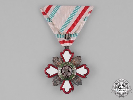 Order for Incentive to Humanity (Red Cross), II Class (for Men) Reverse