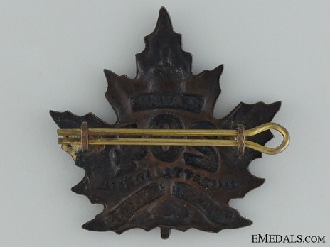 204th Infantry Battalion Other Ranks Cap Badge Reverse
