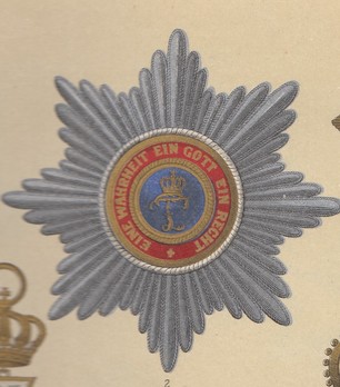 House Order of Duke Peter Friedrich Ludwig, Civil Division, Grand Commander Breast Star (in silver gilt) Obverse