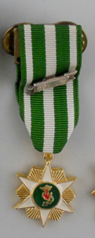 Miniature Vietnam Campaign Medal Obverse