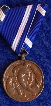 Miklos Toldi Medal of Merit in Bronze Obverse