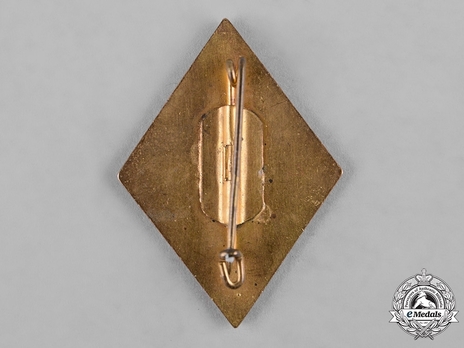 NSKOV Honour Badge (without oakleaf rim) Reverse