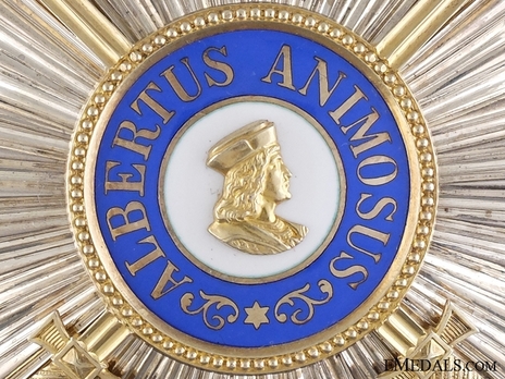 Albert Order, Type II, Military Division, Grand Cross Breast Star (in gold) Detail