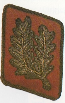NSDAP Reichsorganisationsleiter Type I Collar Tabs (2nd pattern) Obverse
