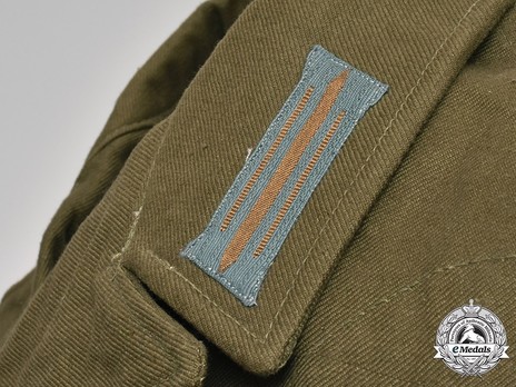 German Army Tropical Collar Tabs Obverse