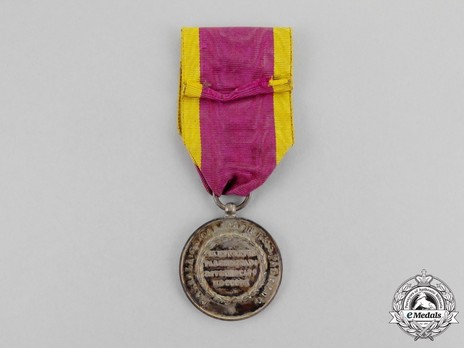 Medal for 1000 Volunteers, in Silver Reverse
