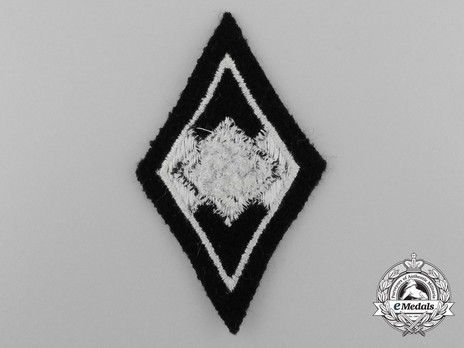 Waffen-SS Hitler Youth Service Identification Badge Reverse