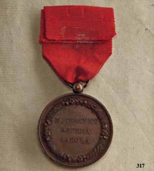 Merit Medal "MITESCVNT ASPERA SAECLA", in Bronze Reverse