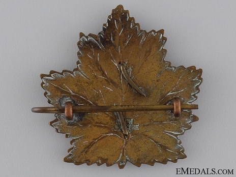 4th Infantry Battalion Officers Cap Badge Reverse