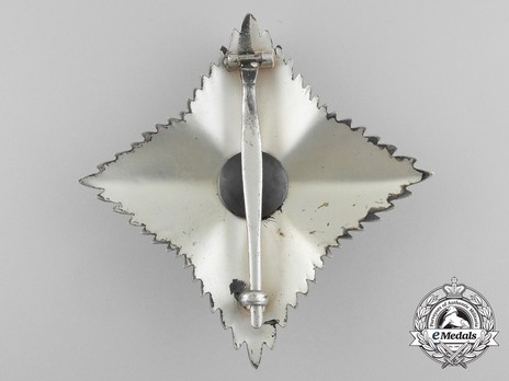 Decoration of Honour Breast Star Reverse