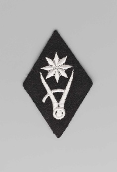 Waffen-SS WVHA (Construction Group) Trade Insignia Obverse