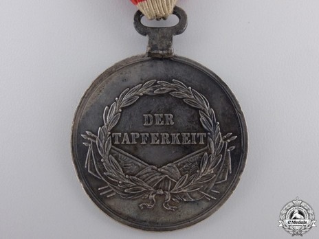 Type VIII, I Class Silver Medal (with oval suspension) Reverse