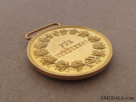 Civil Merit Medal in Gold, Small, Type VI (1882-1908) Reverse