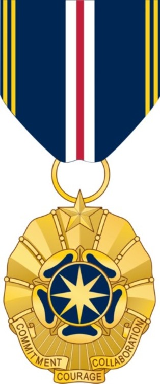 National intelligence superior service medal